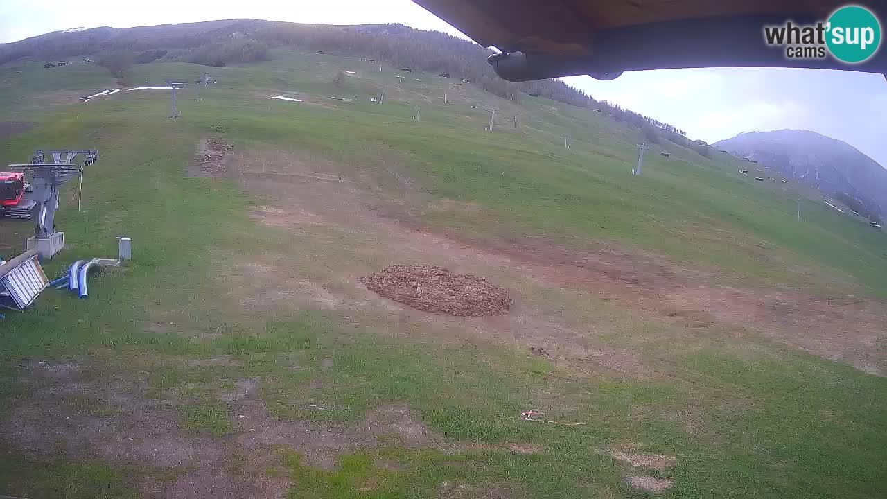 Livigno SKI webcam | Piste da SCI
