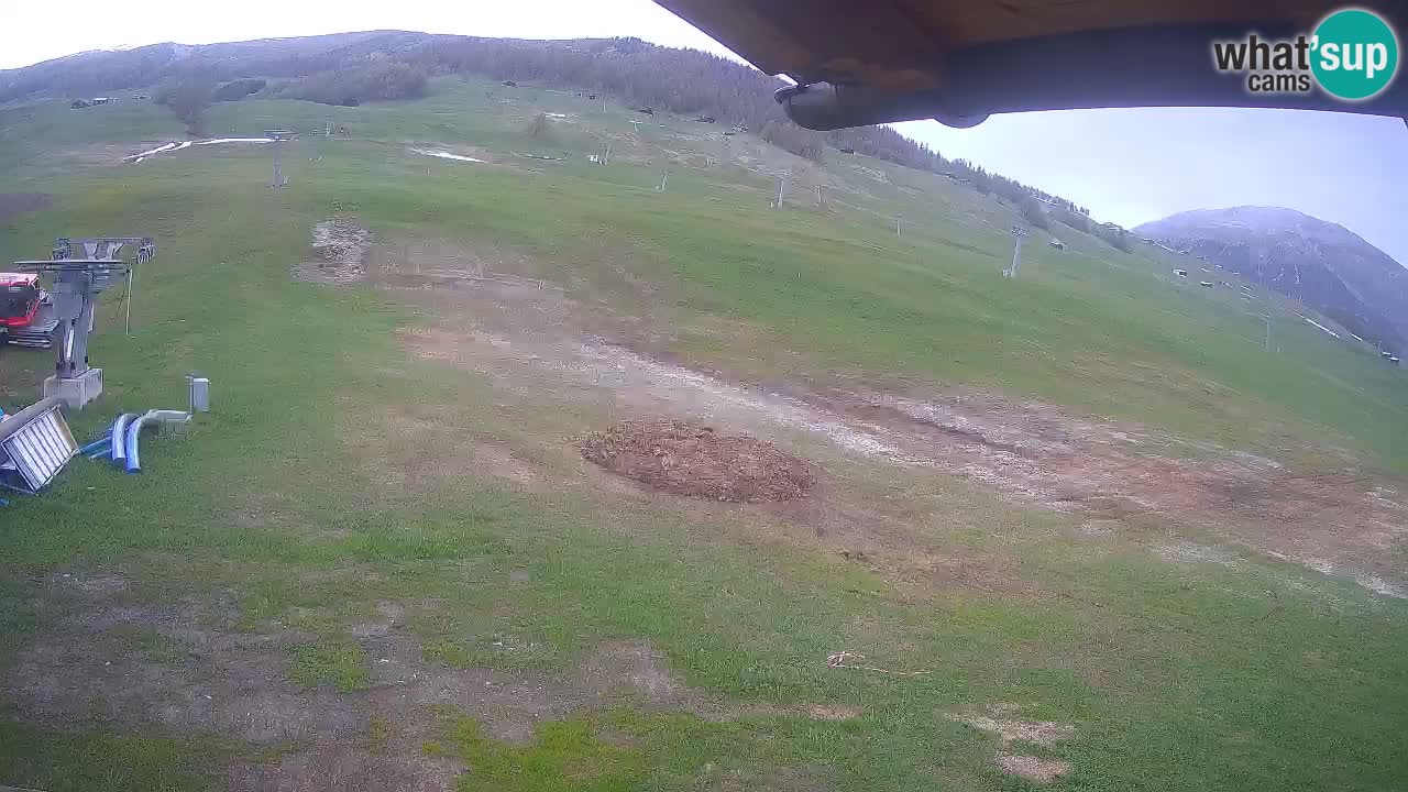 Livigno webcam – view on Livigno Ski School area – LivignoGO