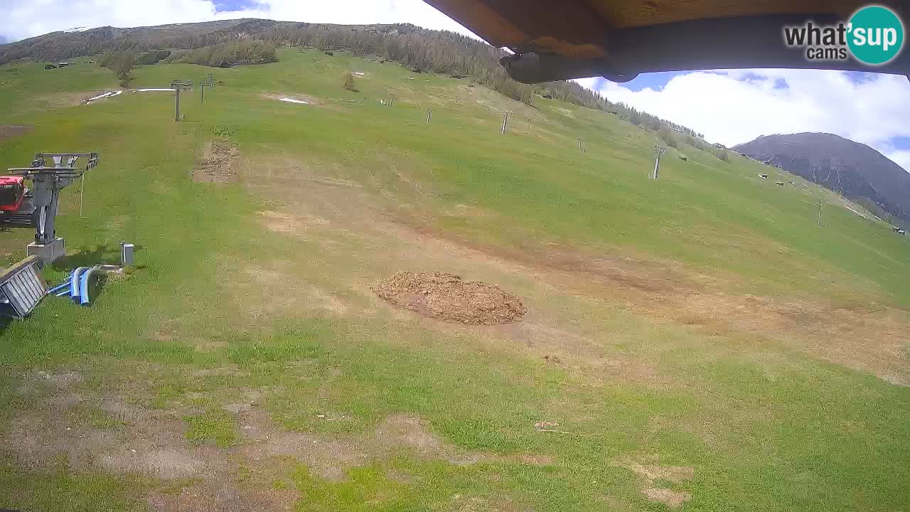 Livigno webcam – view on Livigno Ski School area – LivignoGO