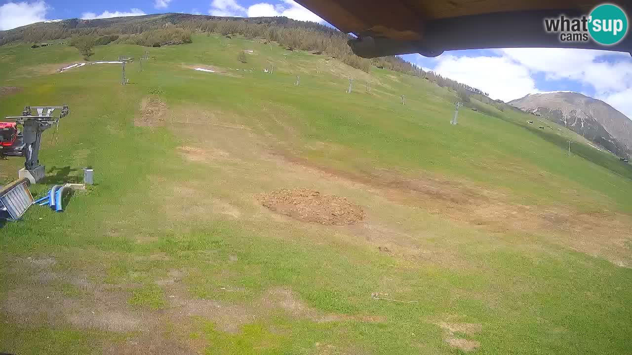 Livigno LIVE cam smučišče | pogled na smučarske proge