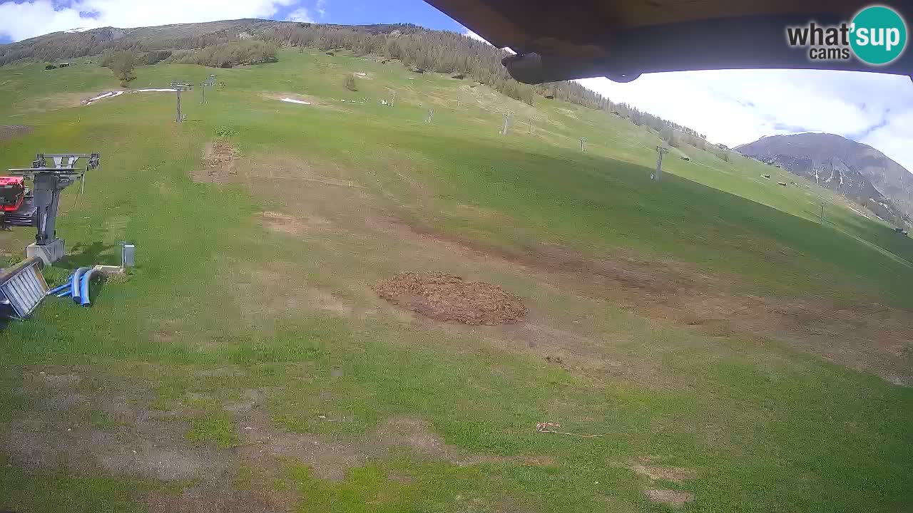 Livigno webcam – view on Livigno Ski School area – LivignoGO