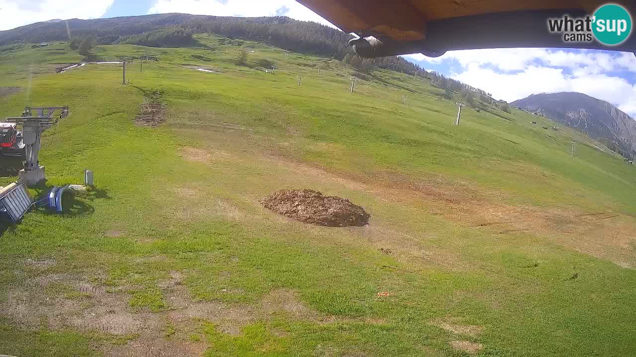 Livigno webcam – Livigno Ski School area – LivignoGO