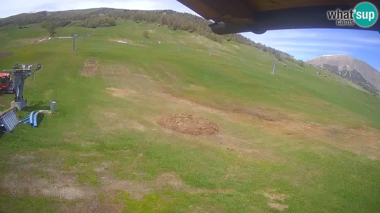 Livigno webcam – view on Livigno Ski School area – LivignoGO