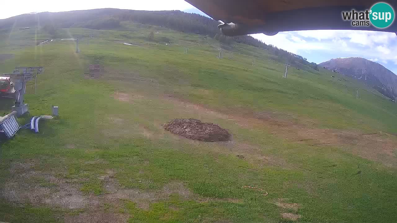 Livigno webcam – view on Livigno Ski School area – LivignoGO