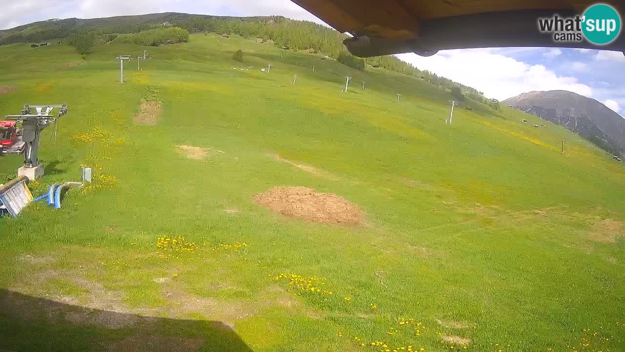 Livigno live webcam – view on Livigno Ski School area – LivignoGO