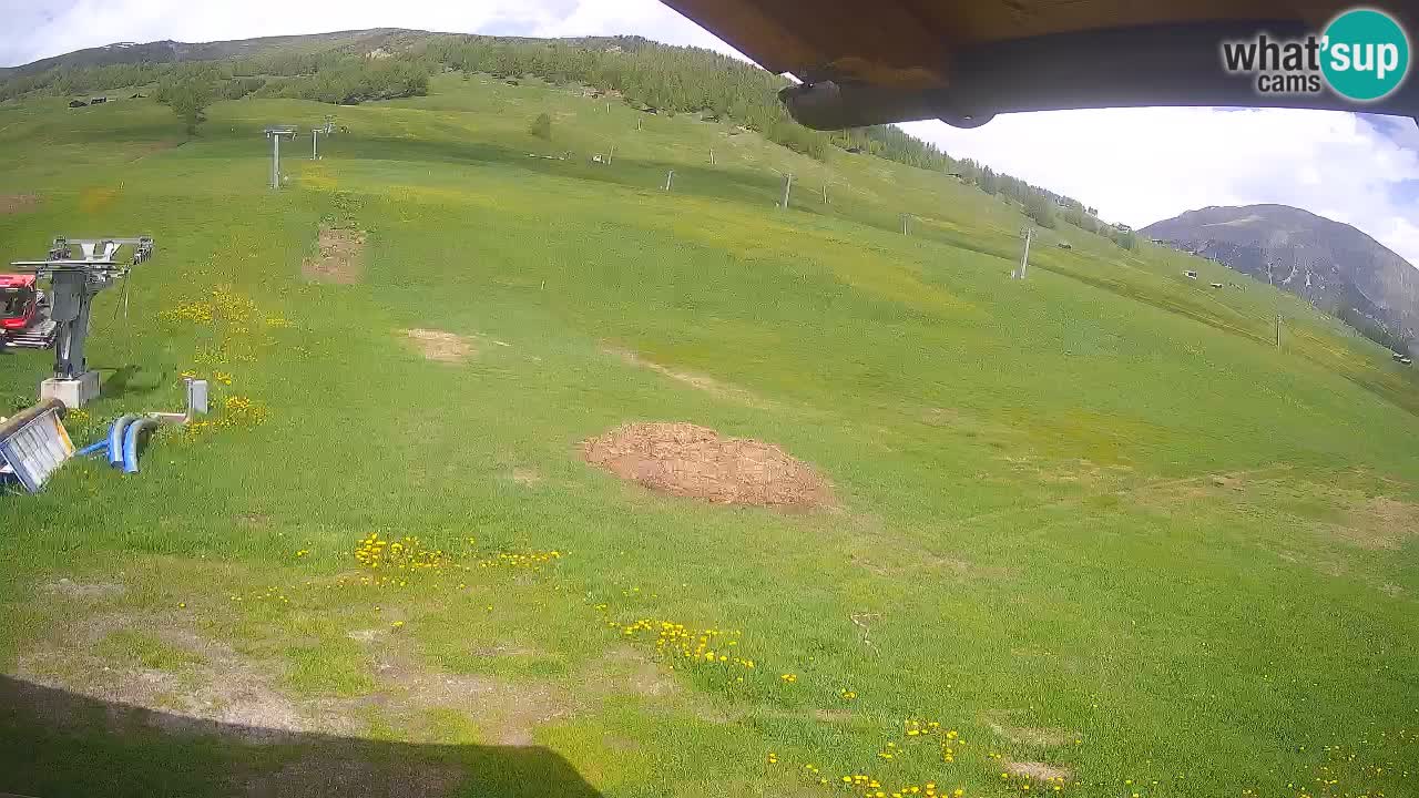 Livigno live webcam – view on Livigno Ski School area – LivignoGO