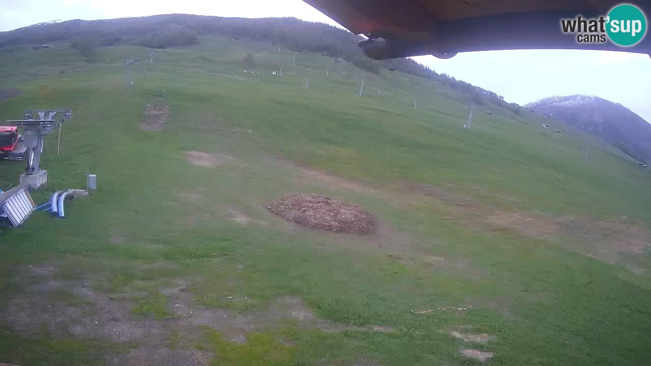Livigno SKI webcam | Piste da SCI