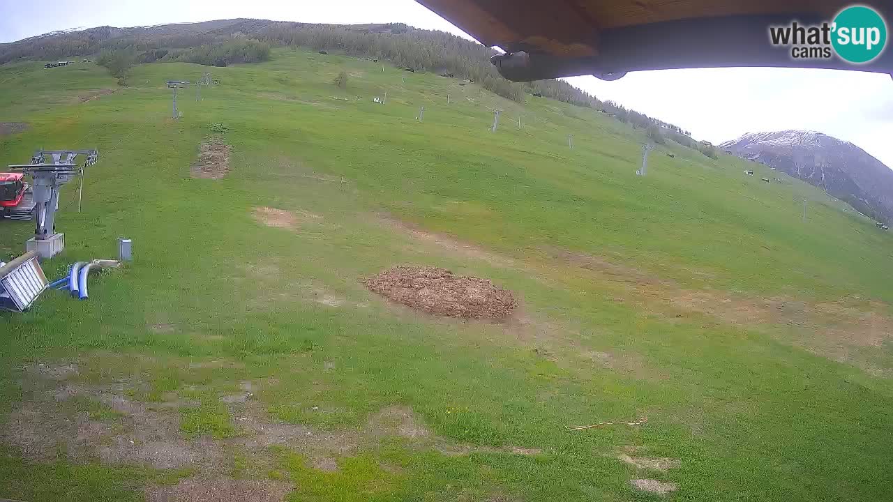 Livigno SKI webcam | Piste da SCI