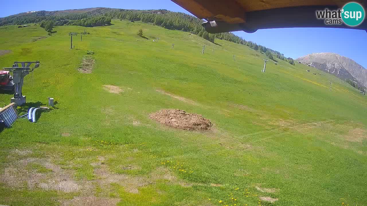 Livigno webcam – view on Livigno Ski School area – LivignoGO