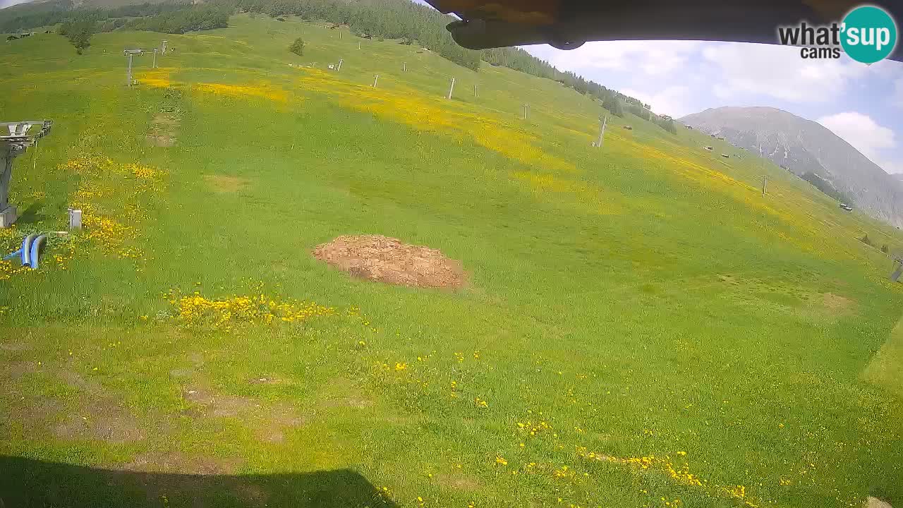 LIVIGNO Skigebiet webcam | Skipisten