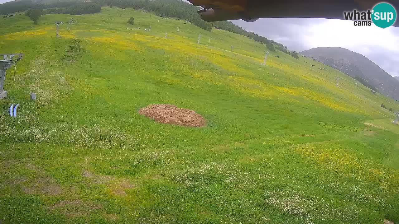 Livigno live webcam – view on Livigno Ski School area – LivignoGO