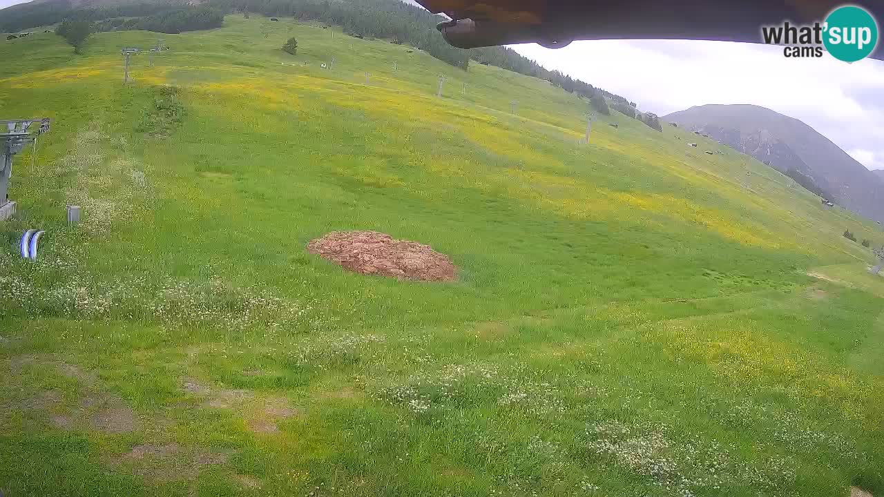 Livigno live webcam – view on Livigno Ski School area – LivignoGO