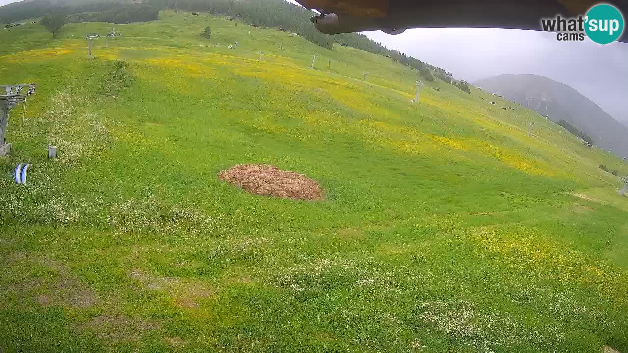 Livigno live webcam – view on Livigno Ski School area – LivignoGO