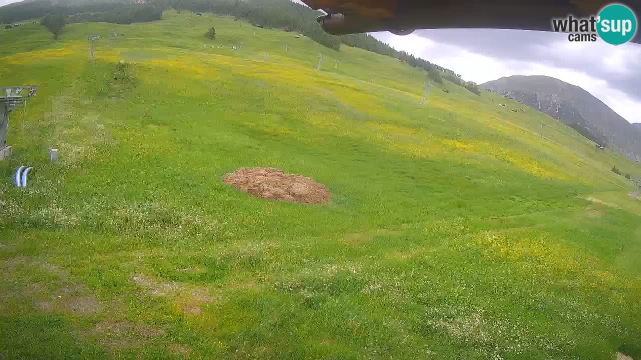 Livigno live webcam – view on Livigno Ski School area – LivignoGO