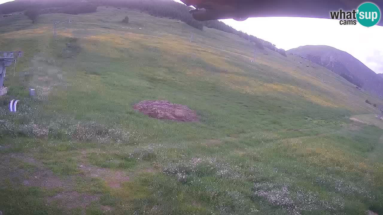 Livigno live webcam – view on Livigno Ski School area – LivignoGO