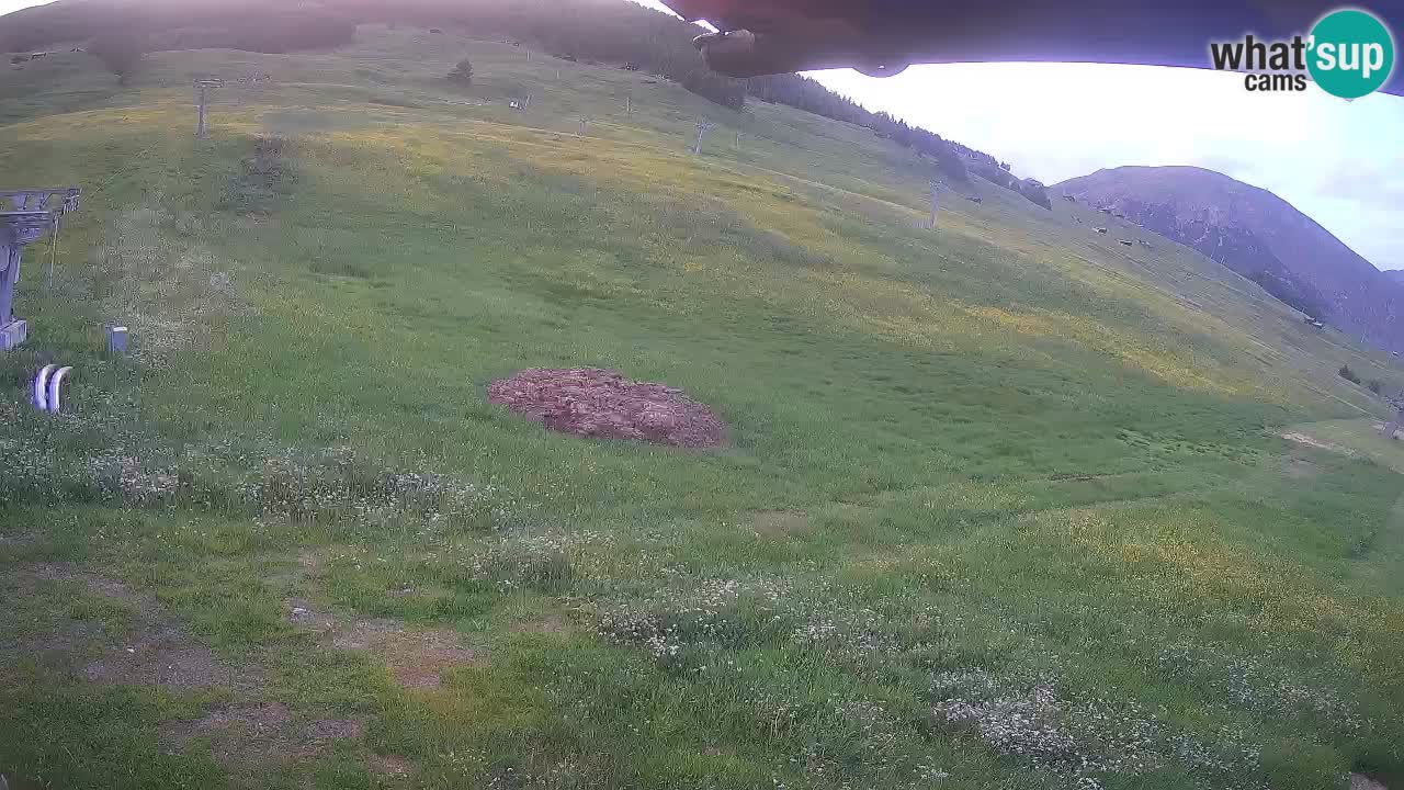 Livigno SKI webcam | Piste da SCI