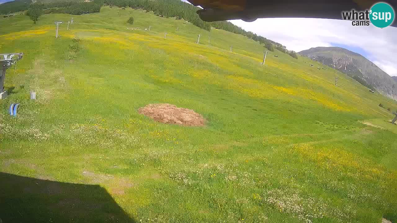Livigno SKI webcam | Piste da SCI