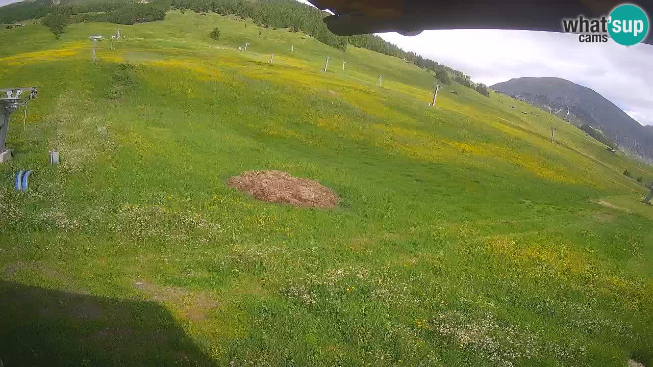 LIVIGNO Skigebiet webcam | Skipisten