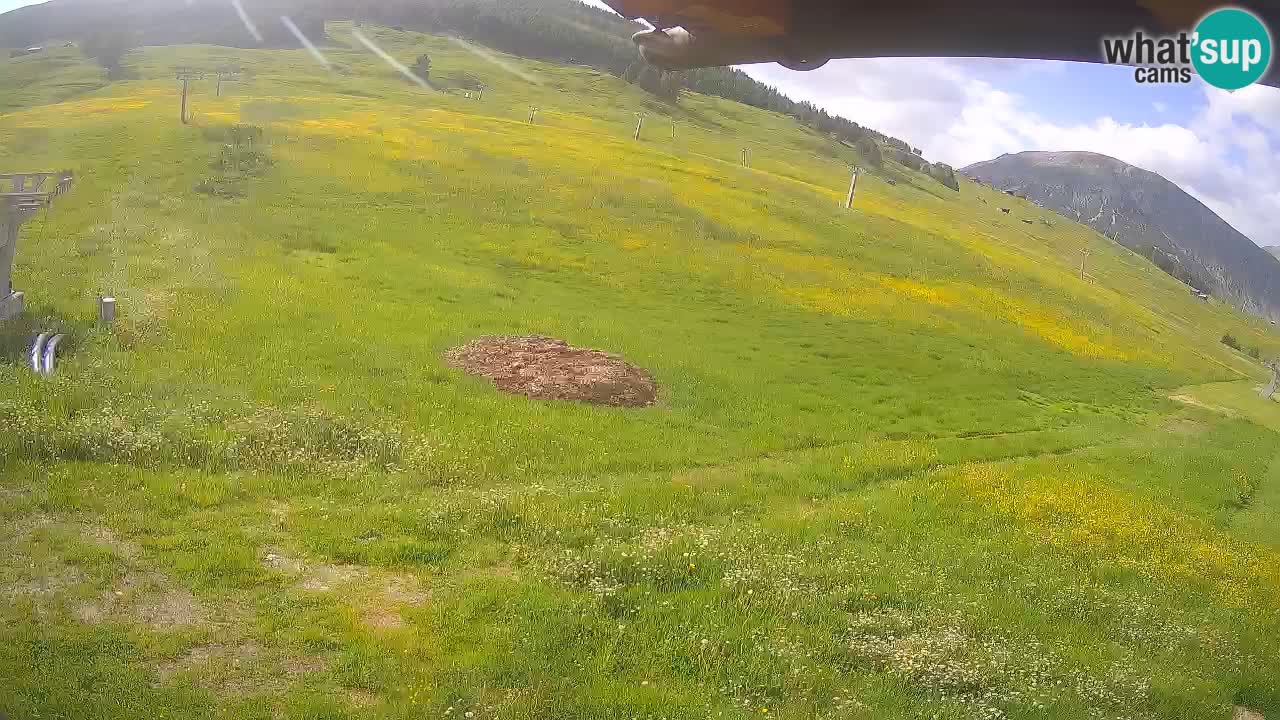 Livigno SKI webcam | Piste da SCI