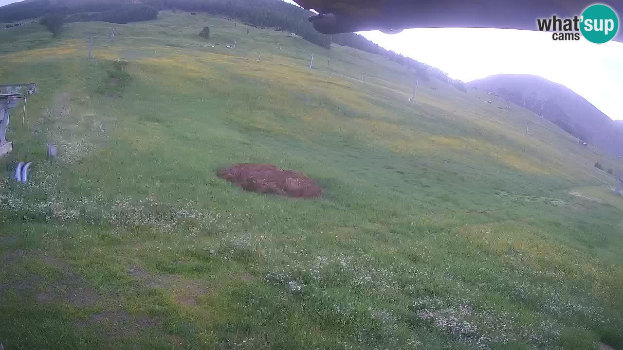 Livigno live webcam – view on Livigno Ski School area – LivignoGO