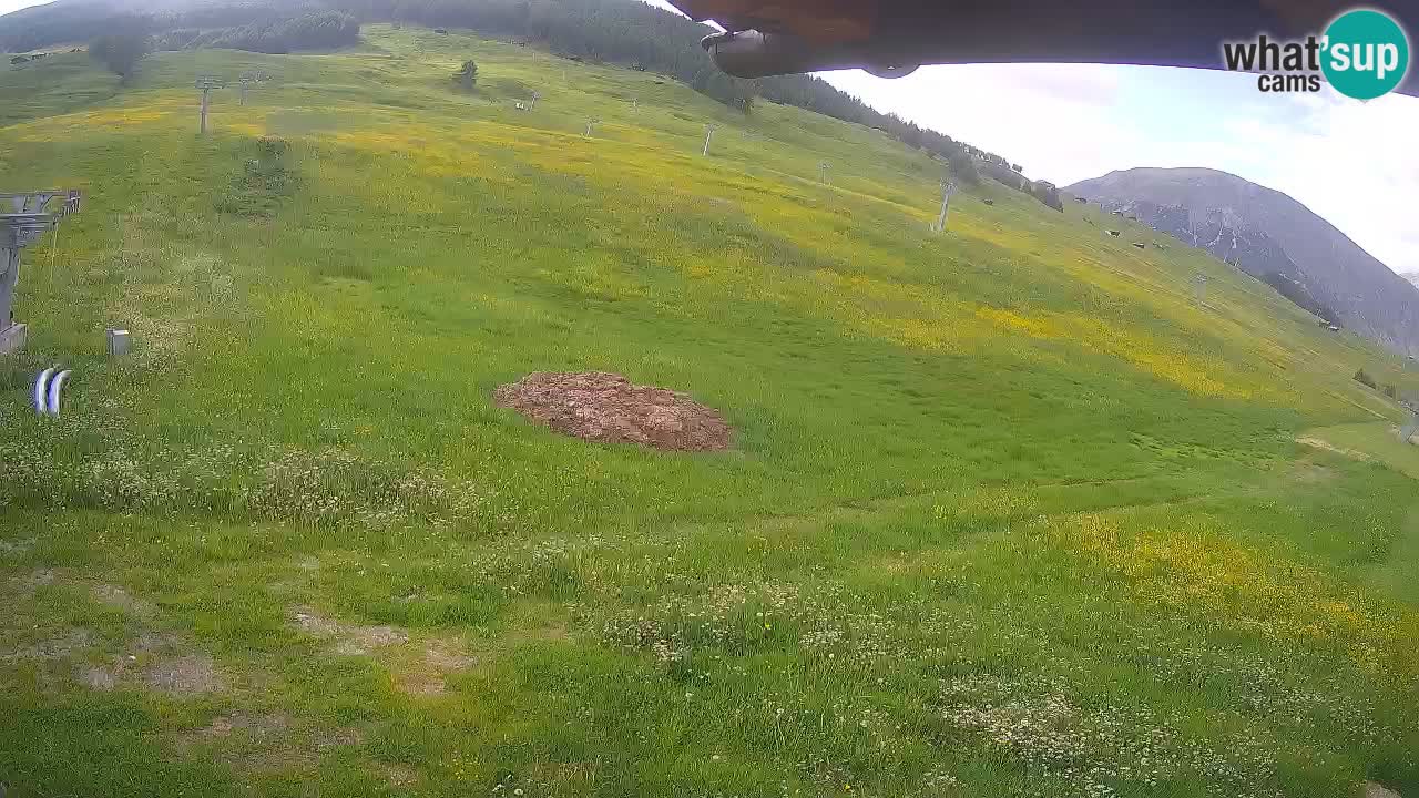 Livigno LIVE cam smučišče | pogled na smučarske proge