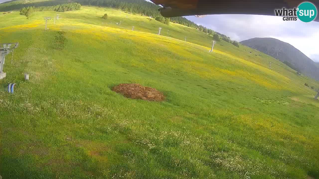Livigno SKI webcam | Piste da SCI