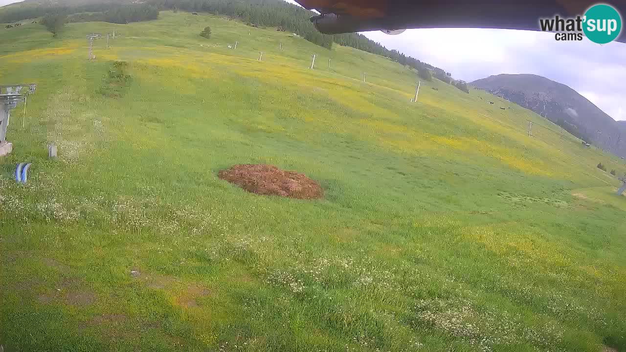 Livigno webcam – view on Livigno Ski School area – LivignoGO