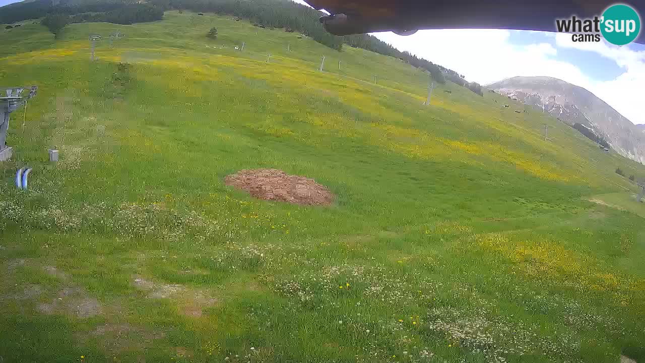 Livigno SKI webcam | Piste da SCI