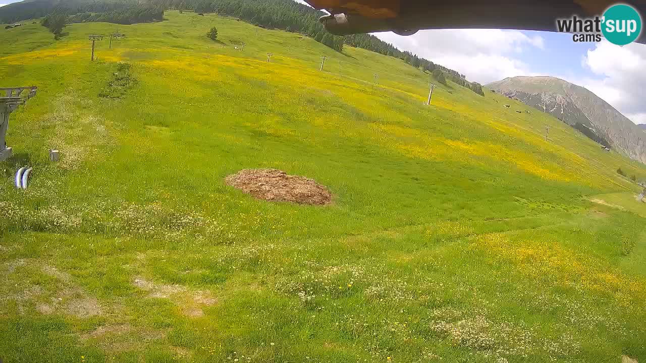 Livigno webcam – view on Livigno Ski School area – LivignoGO
