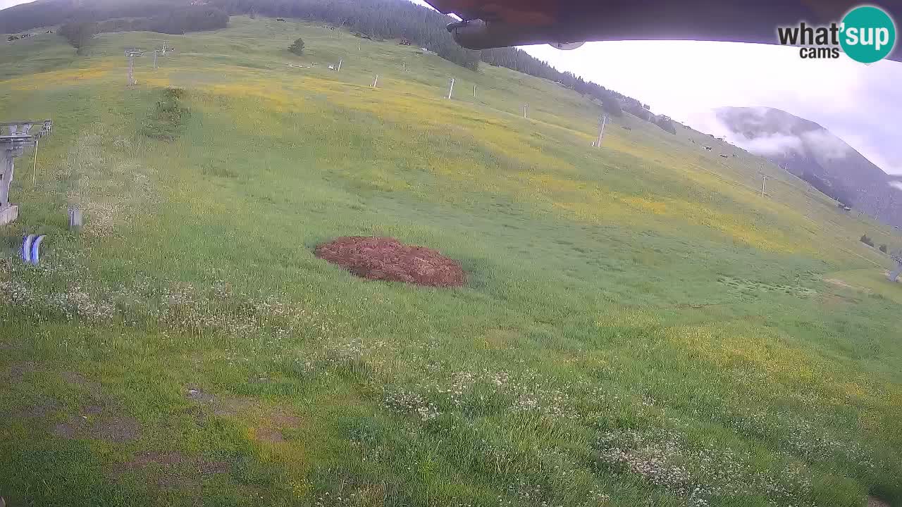 LIVIGNO Skigebiet webcam | Skipisten