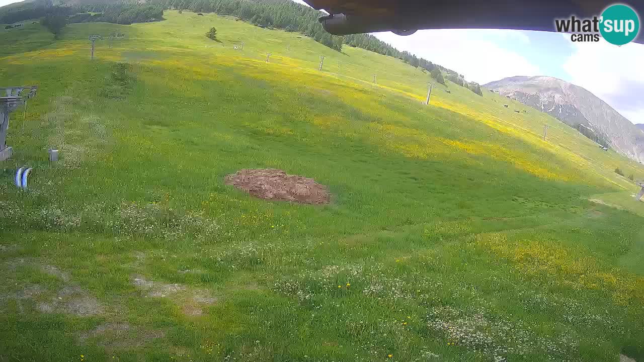 Livigno LIVE cam smučišče | pogled na smučarske proge