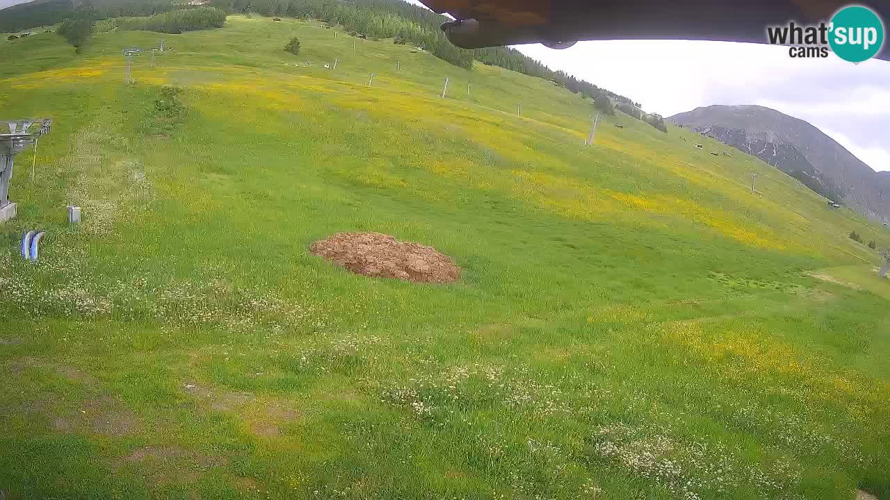 LIVIGNO Skigebiet webcam | Skipisten