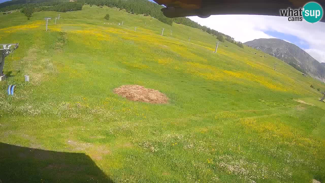 Livigno webcam – view on Livigno Ski School area – LivignoGO