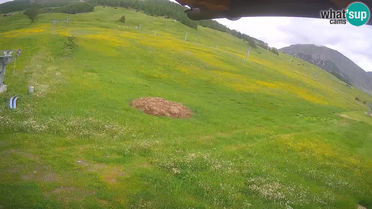 Livigno webcam – view on Livigno Ski School area – LivignoGO