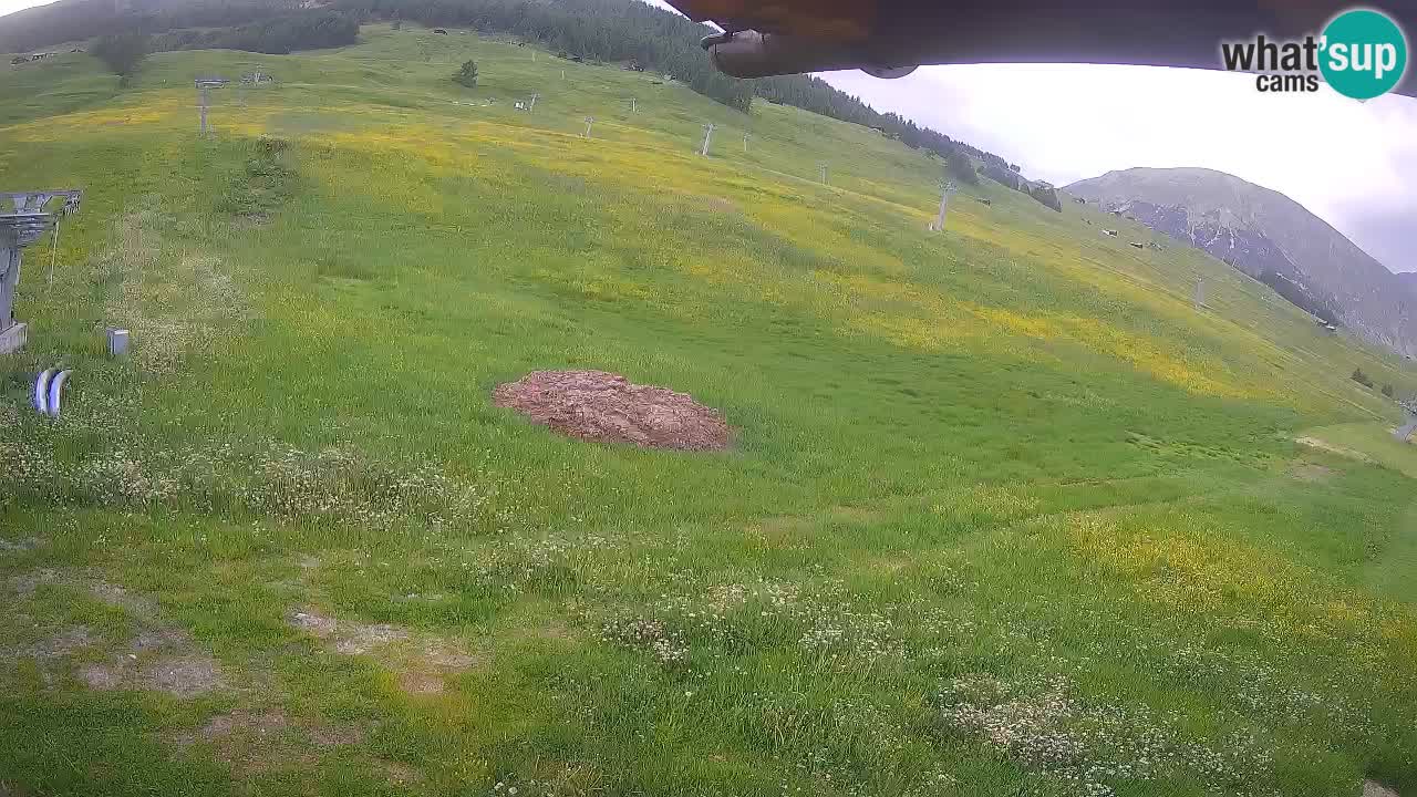 Livigno webcam – view on Livigno Ski School area – LivignoGO