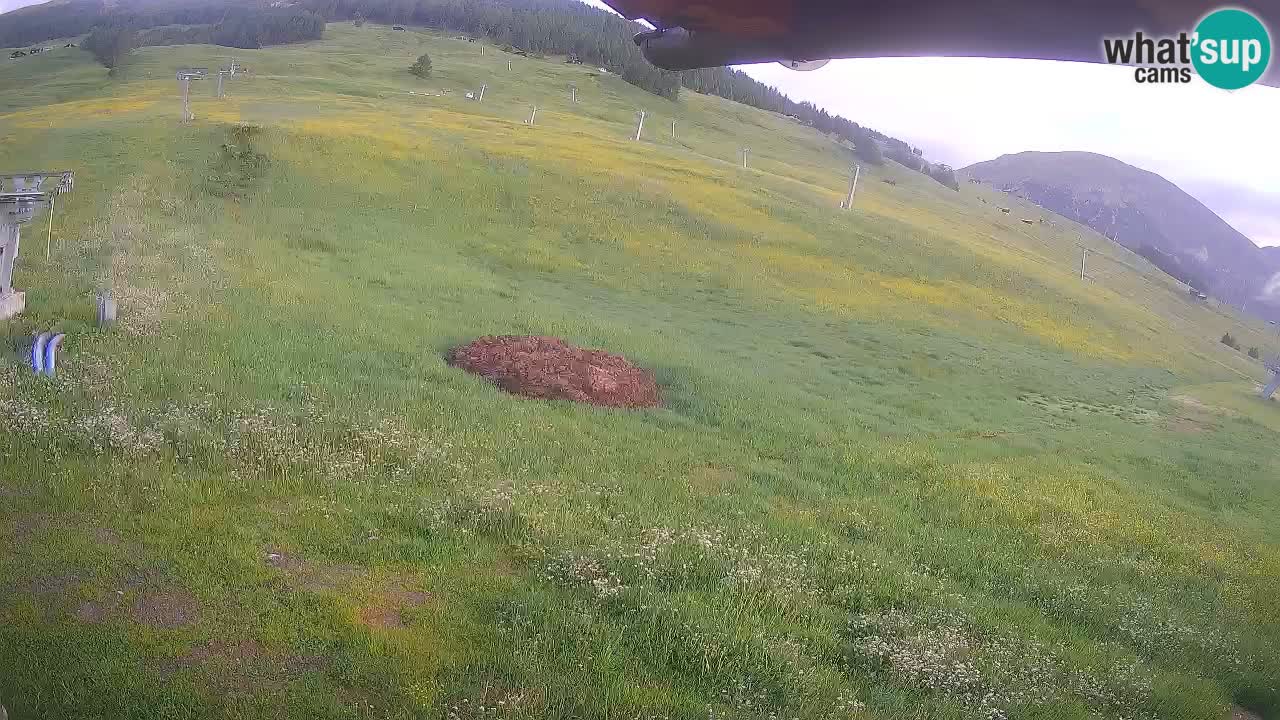 Livigno webcam – view on Livigno Ski School area – LivignoGO