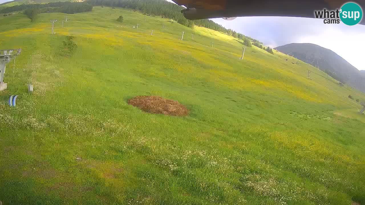 Livigno SKI webcam | Piste da SCI