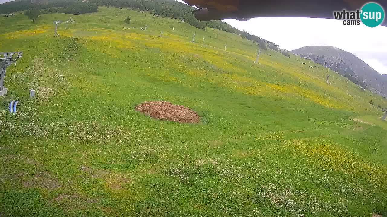 Livigno SKI webcam | Piste da SCI