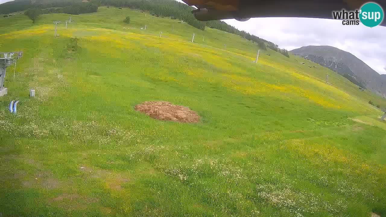 Livigno web kamera – pogled na Livigno Ski School area – LivignoGO