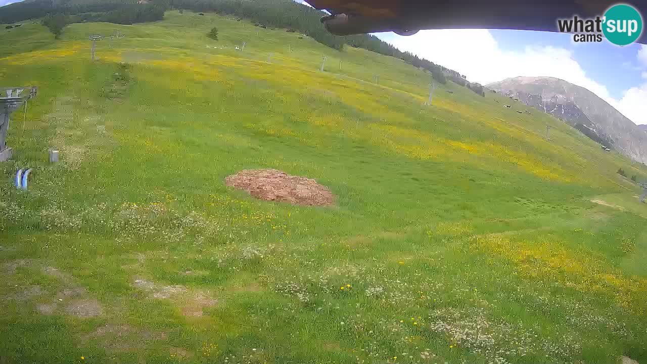 Livigno LIVE cam smučišče | pogled na smučarske proge