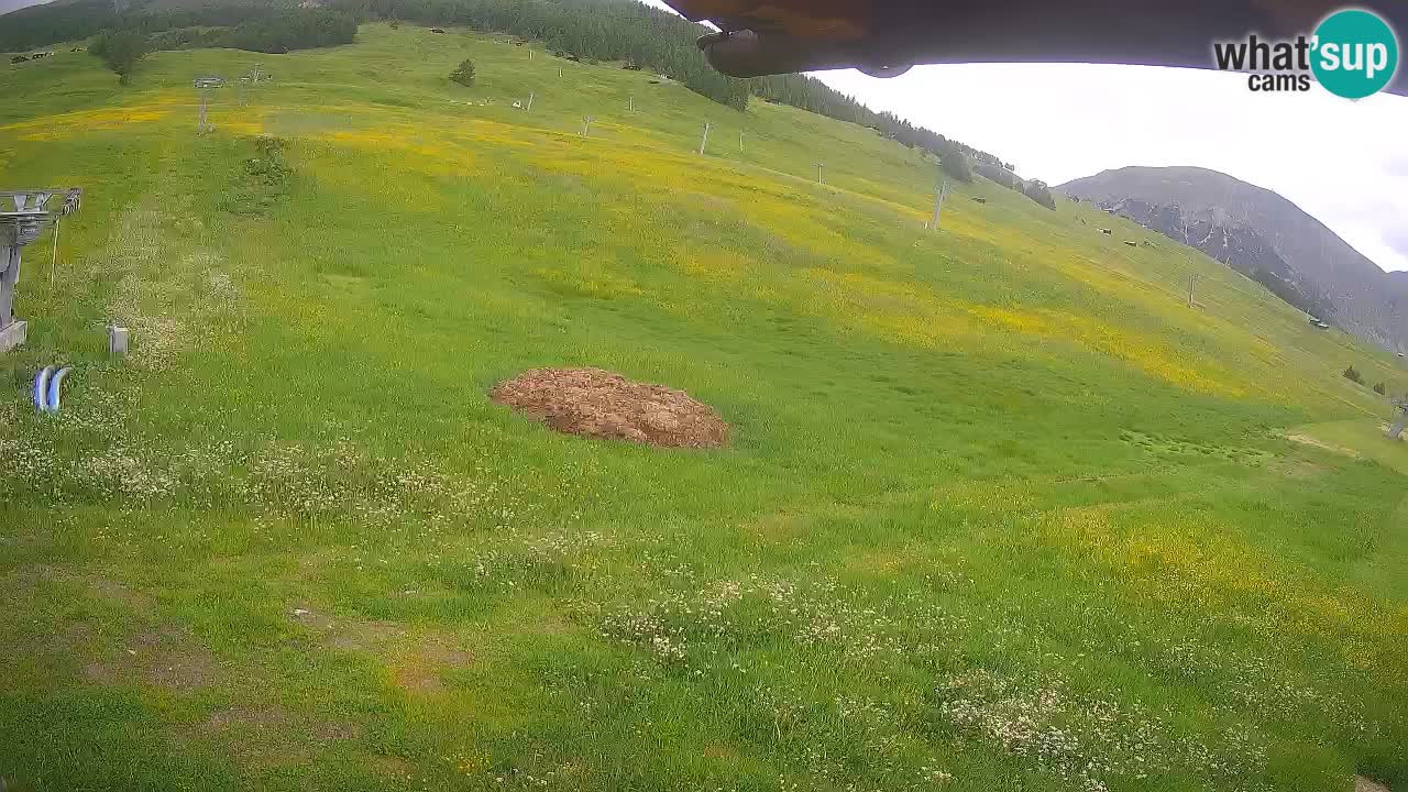 LIVIGNO Skigebiet webcam | Skipisten