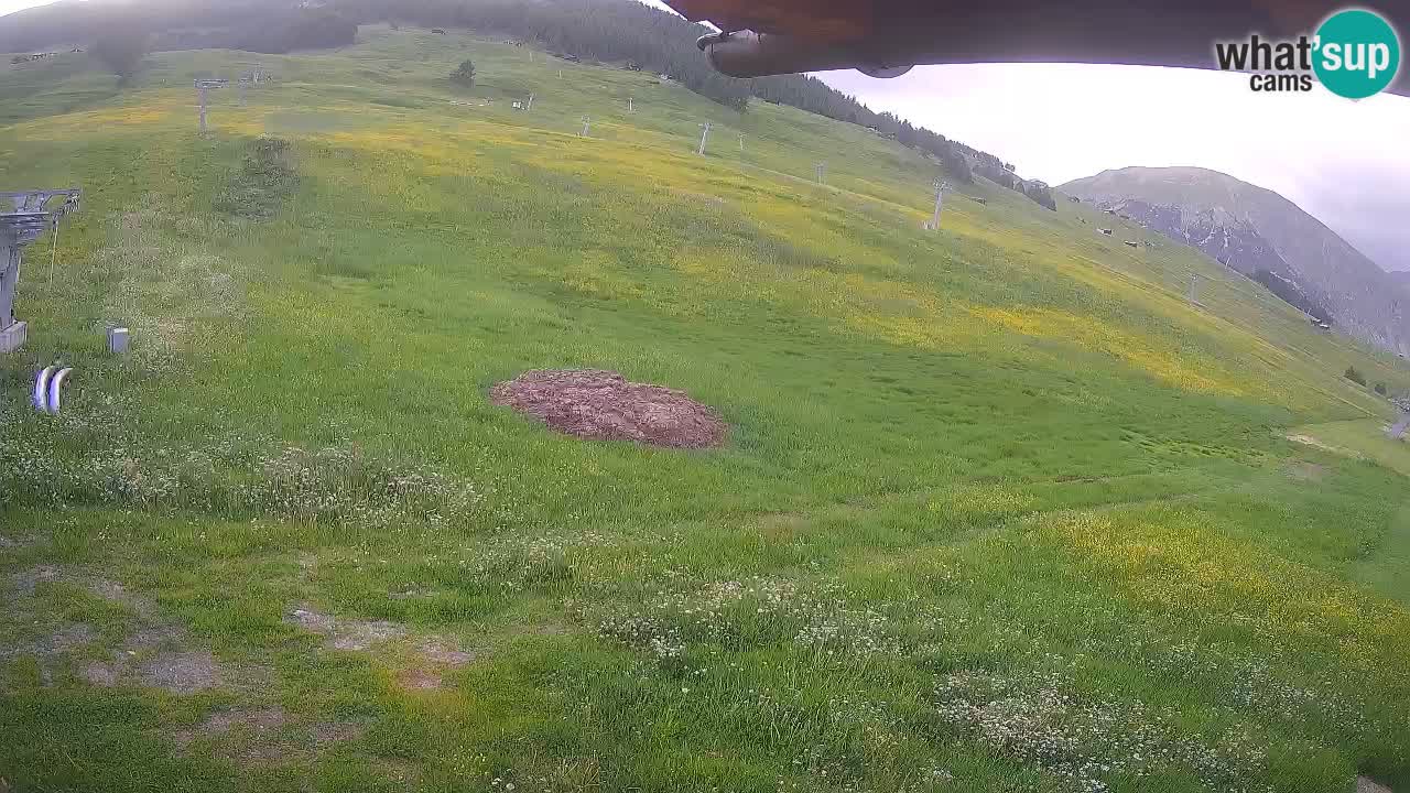 Livigno LIVE cam smučišče | pogled na smučarske proge