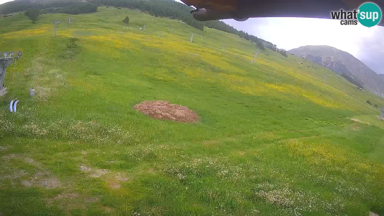 Livigno webcam – view on Livigno Ski School area – LivignoGO