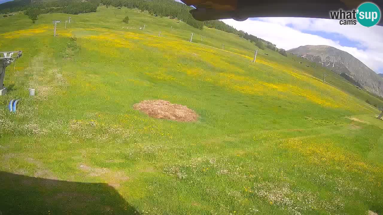 Livigno webcam – view on Livigno Ski School area – LivignoGO