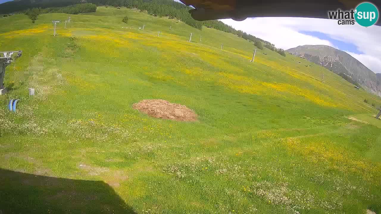 Livigno webcam – view on Livigno Ski School area – LivignoGO