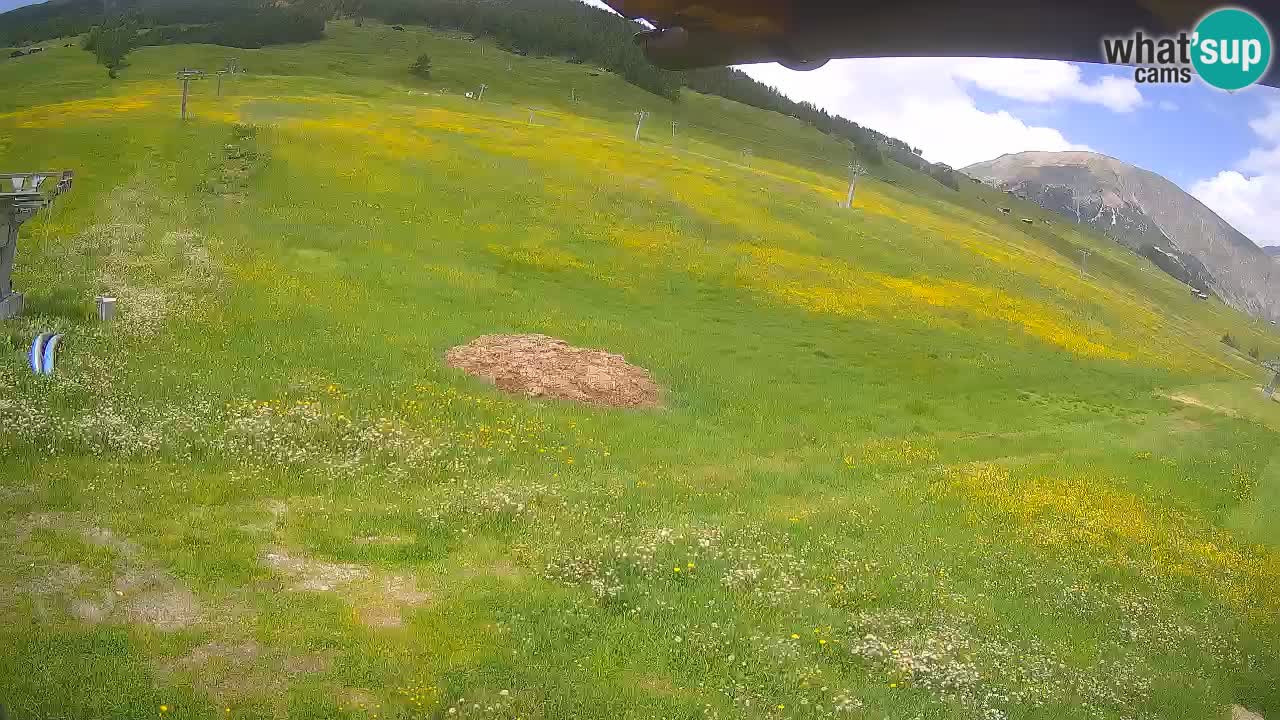 Livigno LIVE cam smučišče | pogled na smučarske proge