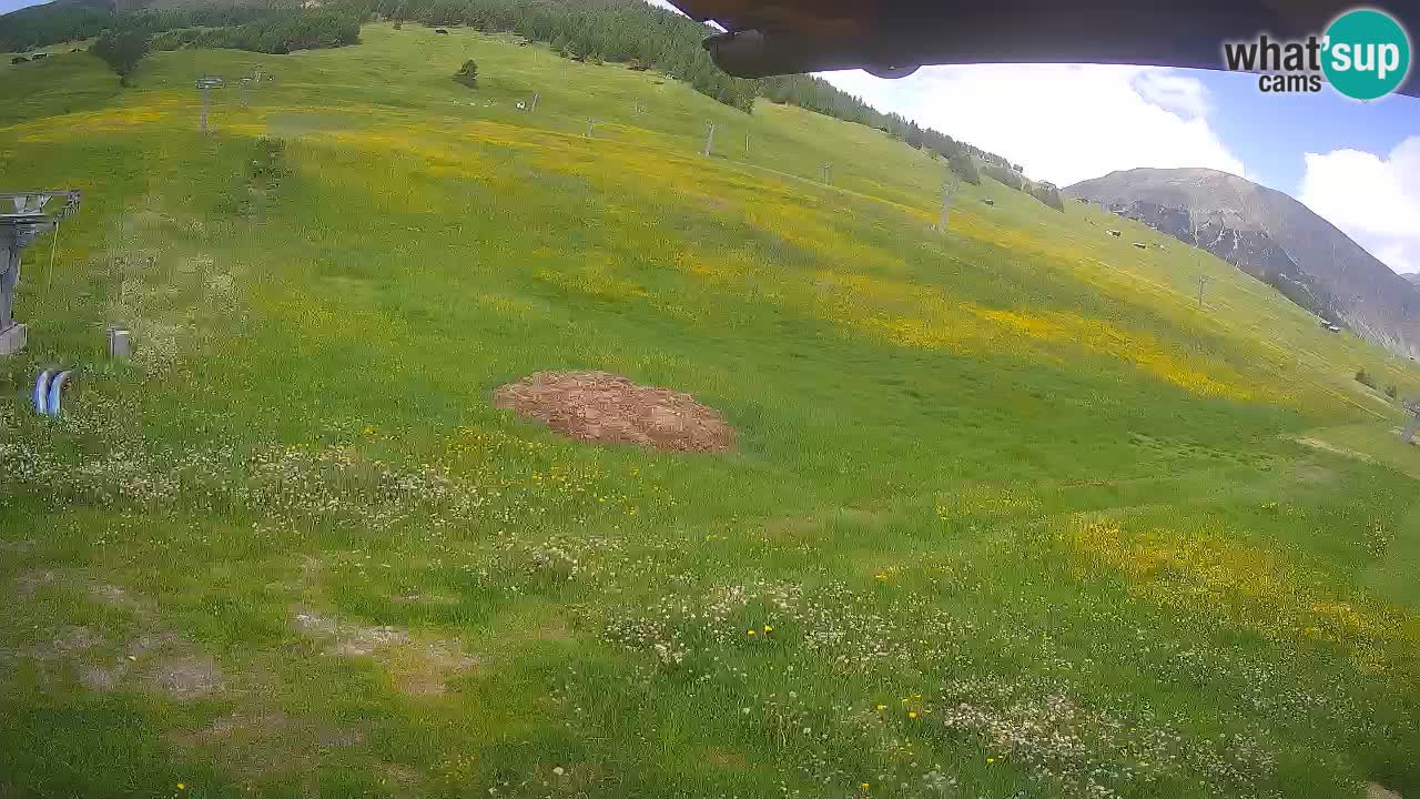 Livigno live webcam – view on Livigno Ski School area – LivignoGO