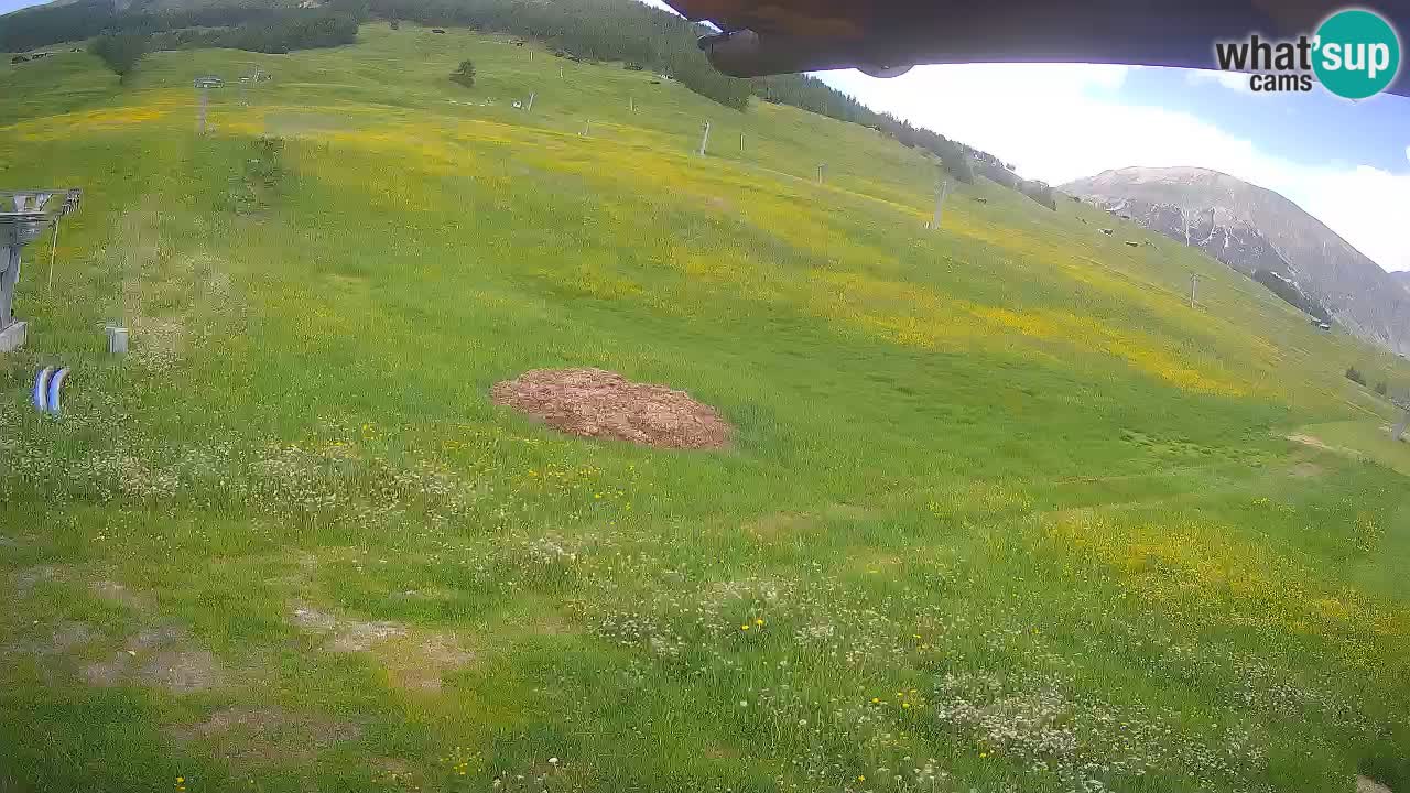 LIVIGNO Skigebiet webcam | Skipisten