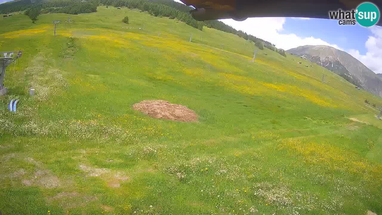 Livigno webcam – view on Livigno Ski School area – LivignoGO