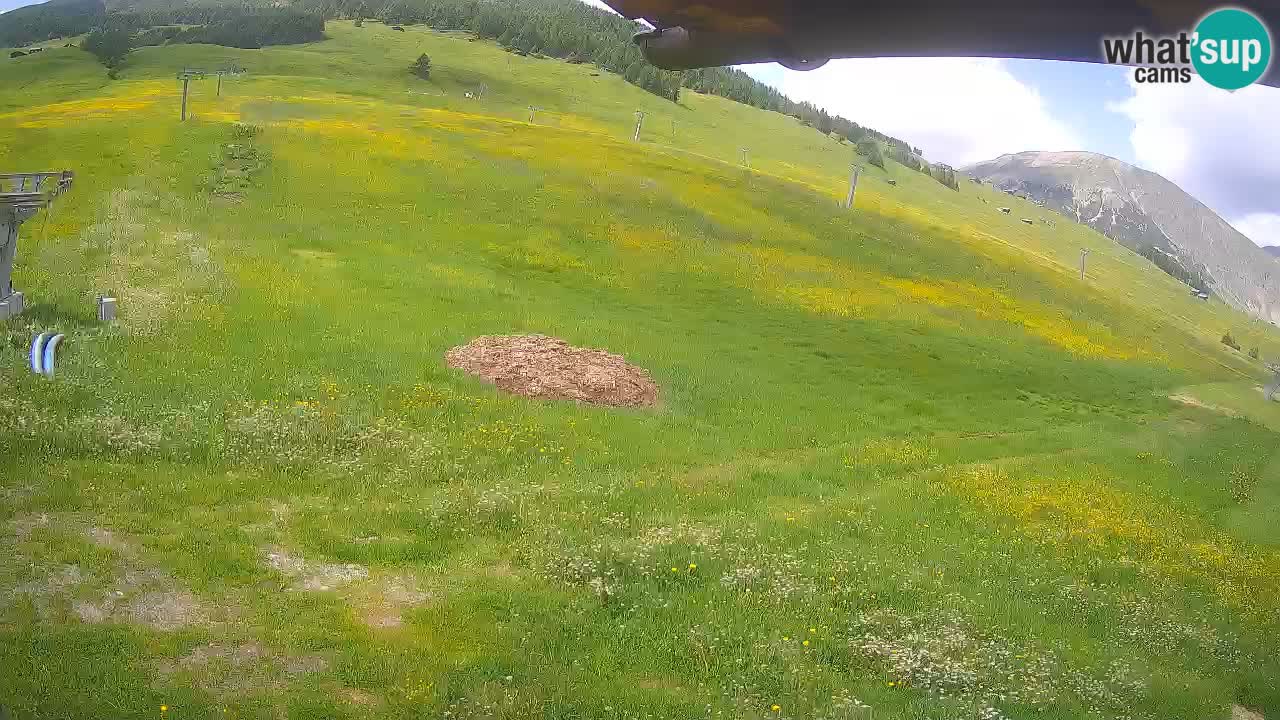 Livigno web kamera – pogled na Livigno Ski School area – LivignoGO